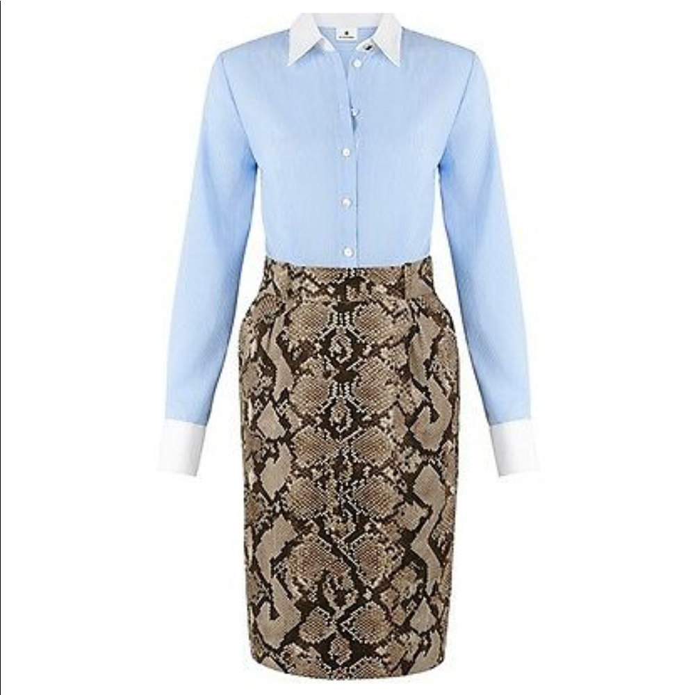 Altuzarra for Target Snakeskin Striped Dress Size 2